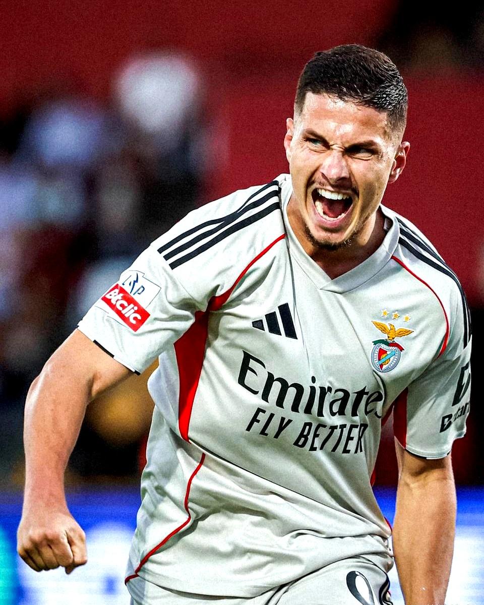 赛地聚焦——葡超窗口期热度飙升，达拉斯独行侠单刀错失，更衣室稳定，训练强度明显提升的简单介绍